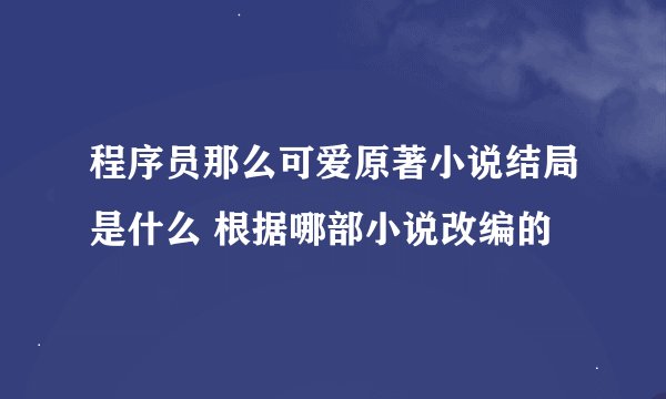 程序员那么可爱原著小说结局是什么 根据哪部小说改编的