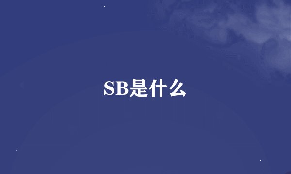 SB是什么