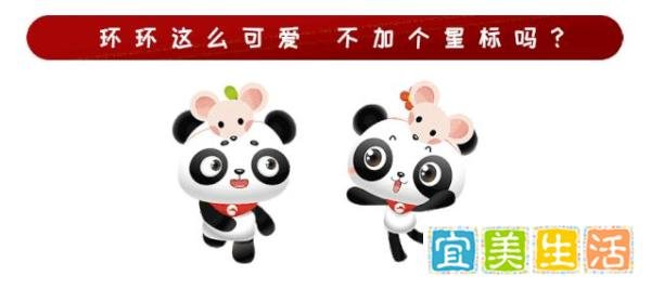 突发！央视元宵晚会重大调整！