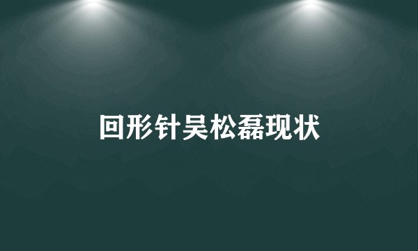 回形针吴松磊现状