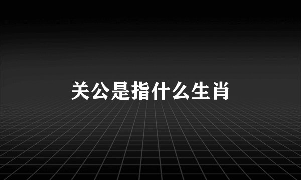 关公是指什么生肖