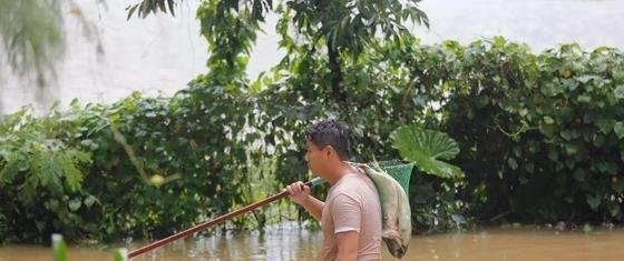 山西一地暴雨后 众多市民上街捞鱼 这是咋情况？