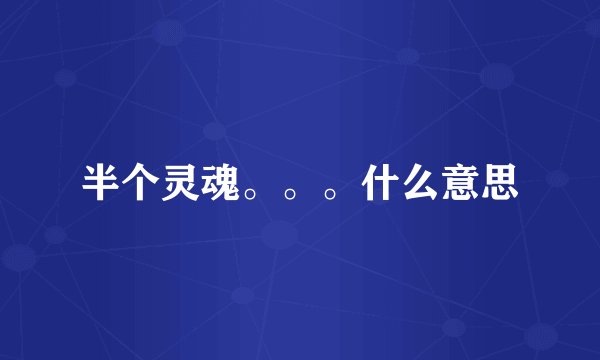 半个灵魂。。。什么意思