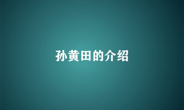 孙黄田的介绍
