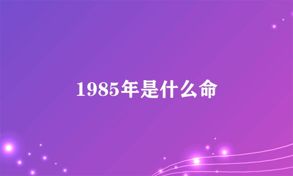 1985年是什么命