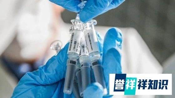 遭人为拉闸断电，科兴疫苗损失千万，这个配电室归谁管？供电公司有无责任？