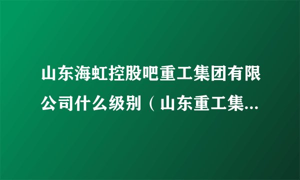 山东海虹控股吧重工集团有限公司什么级别（山东重工集团有限公司）