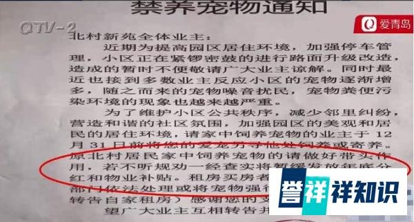 希望的曙光！3月1日起，湖北省遗弃饲养犬最高罚款5000元！