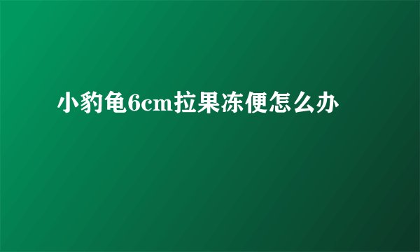小豹龟6cm拉果冻便怎么办