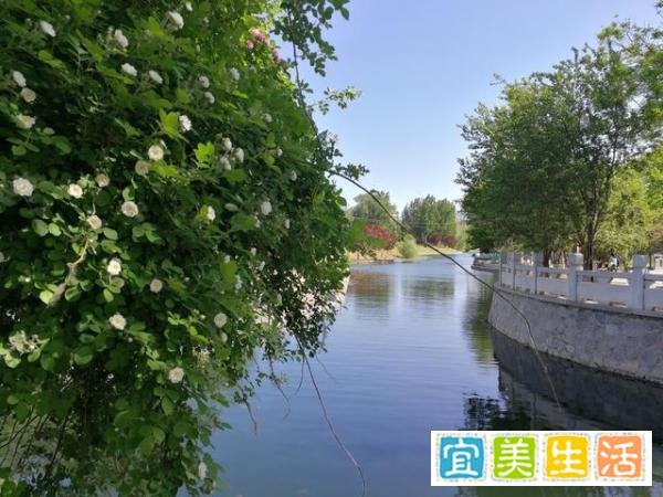 银行让储户证明“我就是我”应该不应该？银行应该承担什么责任？