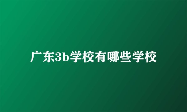 广东3b学校有哪些学校