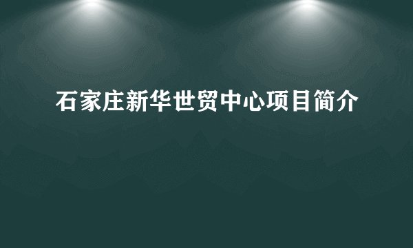 石家庄新华世贸中心项目简介