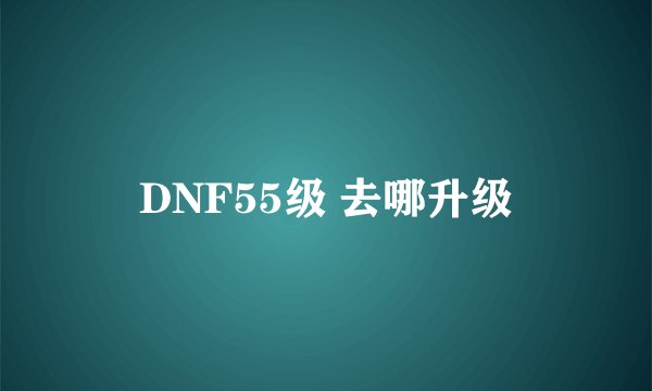 DNF55级 去哪升级