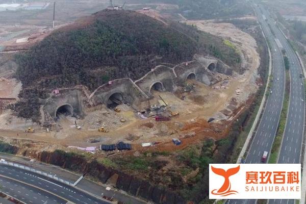 腾讯宣布正式养鹅，正在贵州规划建山洞鹅厂