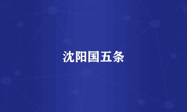 沈阳国五条