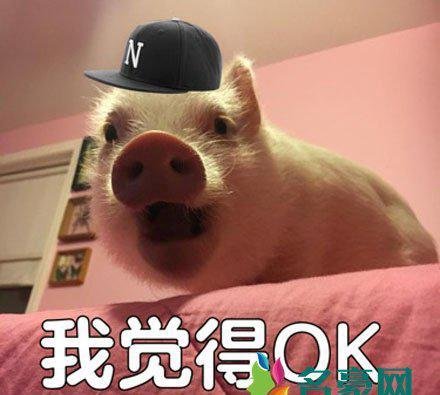 我觉得ok是什么梗什么意思 我觉得ok出处在哪