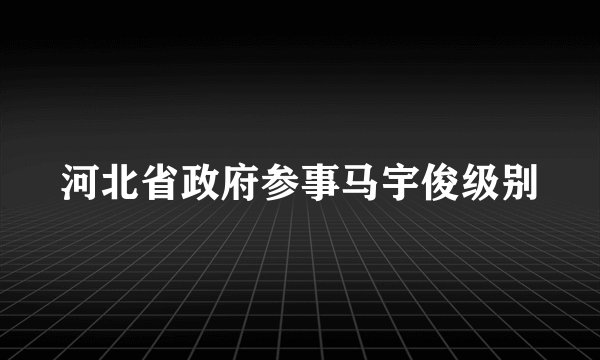 河北省政府参事马宇俊级别