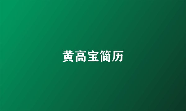 黄高宝简历