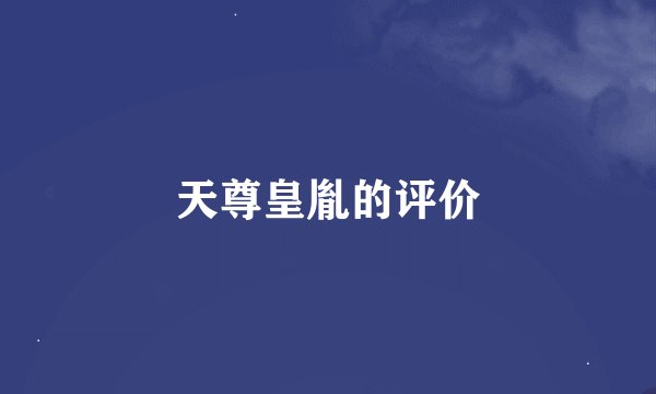 天尊皇胤的评价