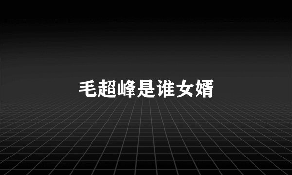 毛超峰是谁女婿