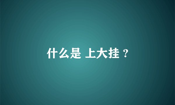什么是 上大挂 ?