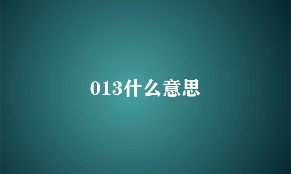 013什么意思