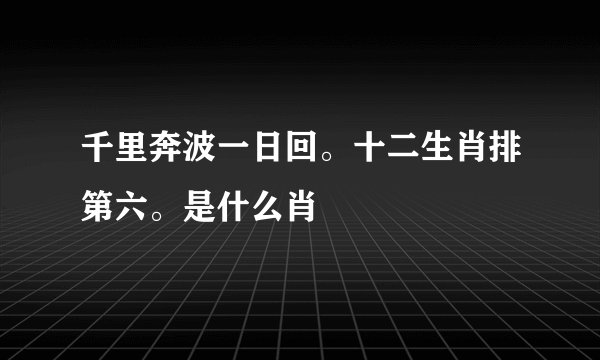千里奔波一日回。十二生肖排第六。是什么肖