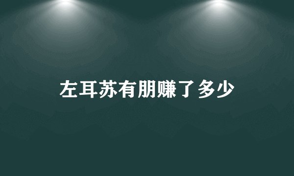 左耳苏有朋赚了多少