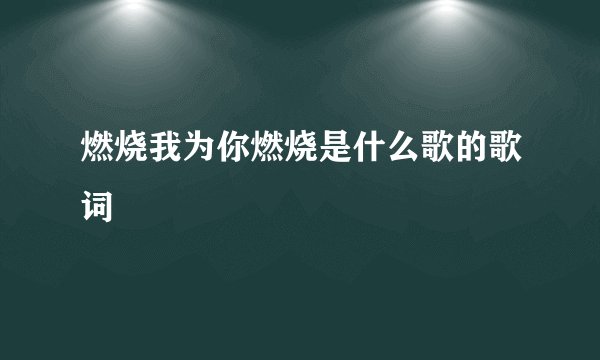 燃烧我为你燃烧是什么歌的歌词