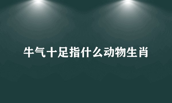 牛气十足指什么动物生肖