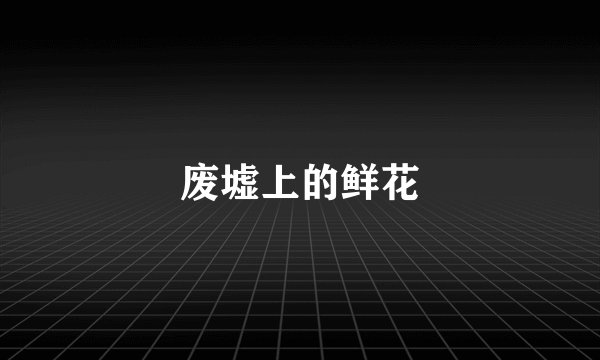 废墟上的鲜花