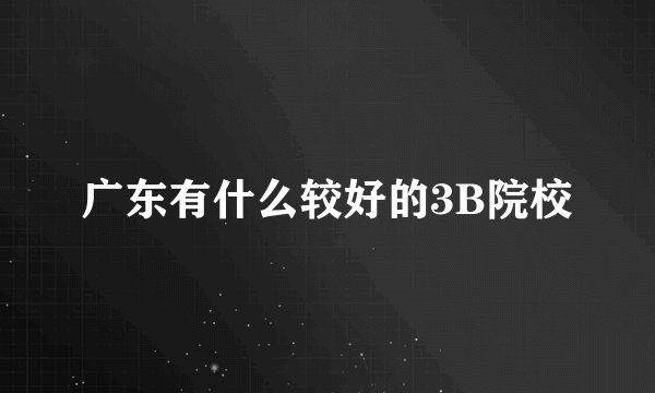 广东有什么较好的3B院校
