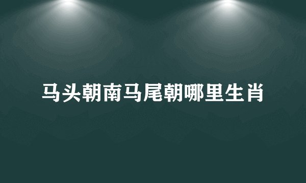 马头朝南马尾朝哪里生肖