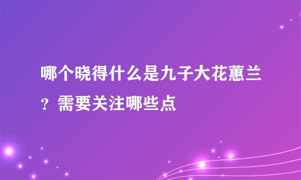 哪个晓得什么是九子大花蕙兰？需要关注哪些点