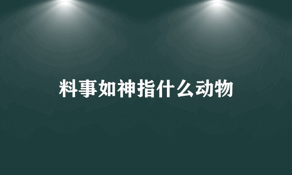 料事如神指什么动物
