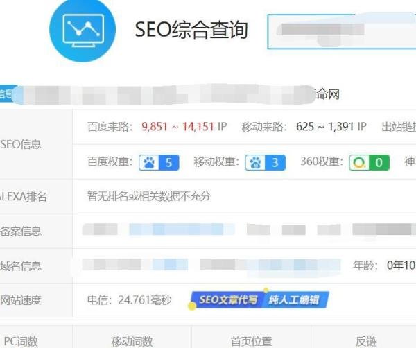 SEO真实故事分享、讲述SEO技术+变现那些事!