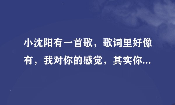 小沈阳有一首歌,歌词里好像有,我对你的感觉,其实你懂的,什么歌啊?