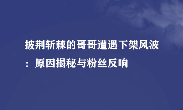 披荆斩棘的哥哥遭遇下架风波：原因揭秘与粉丝反响