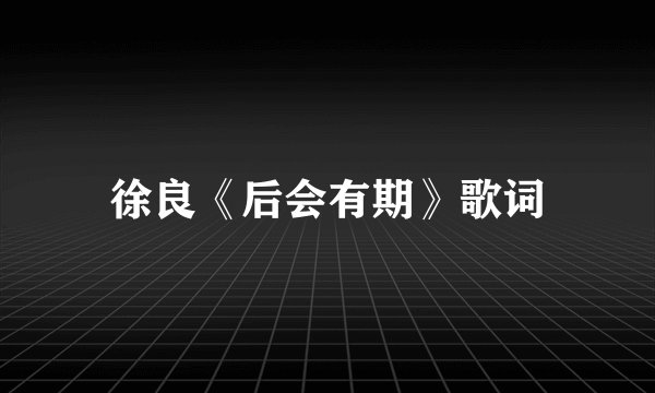 徐良《后会有期》歌词