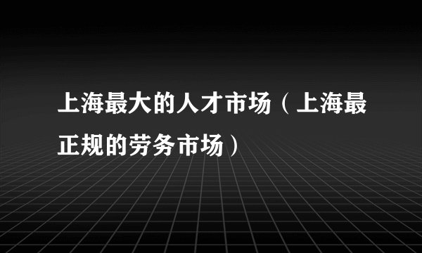 上海最大的人才市场（上海最正规的劳务市场）