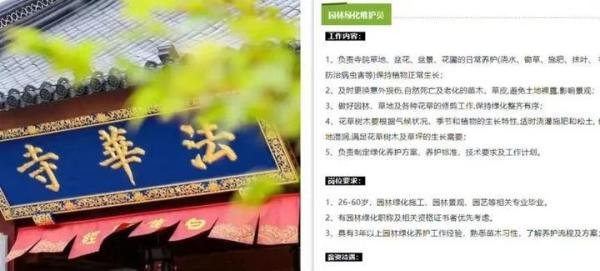 锐评：法华寺社招；月薪上万周末双休；寺庙本身竟然也是法人