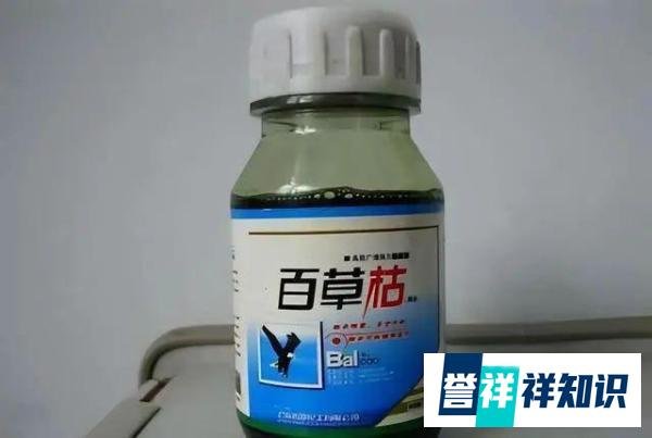 高校教师被同事在水杯中投毒，警方已刑拘涉案博士