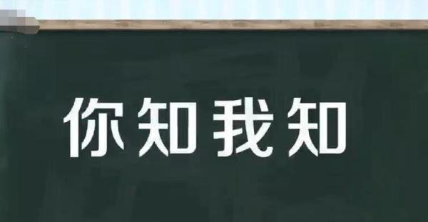 你知我知是什么意思 你知我知是什么意思