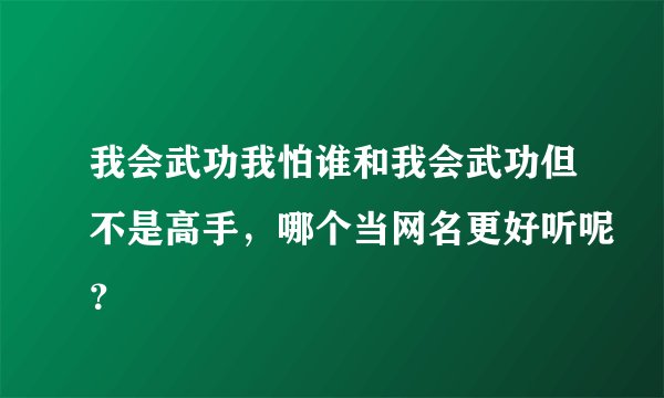 我会武功我怕谁和我会武功但不是高手，哪个当网名更好听呢？