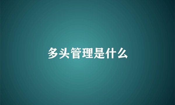 多头管理是什么