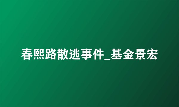 春熙路散逃事件_基金景宏