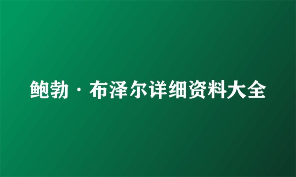 鲍勃·布泽尔详细资料大全