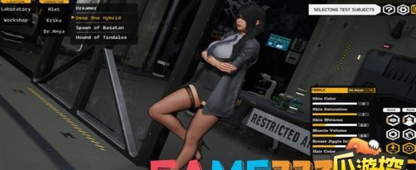堕落玩偶steam英文名是什么?堕落玩偶steam英文名称介绍 堕落玩偶steam
