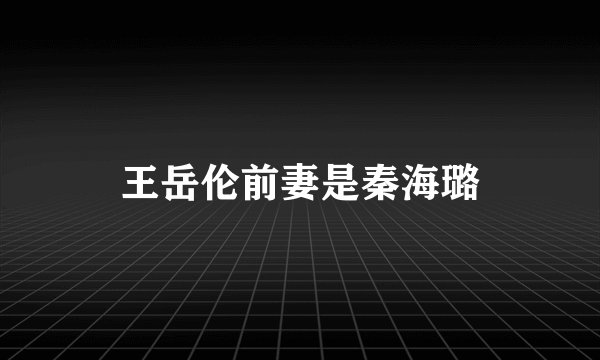 王岳伦前妻是秦海璐