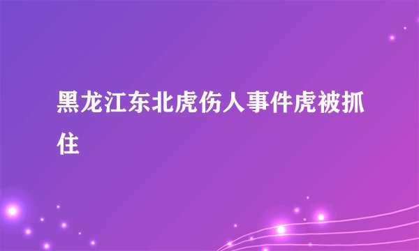 黑龙江东北虎伤人事件虎被抓住